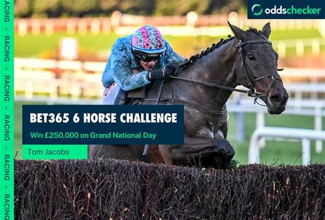 bet365 rules horse racing.